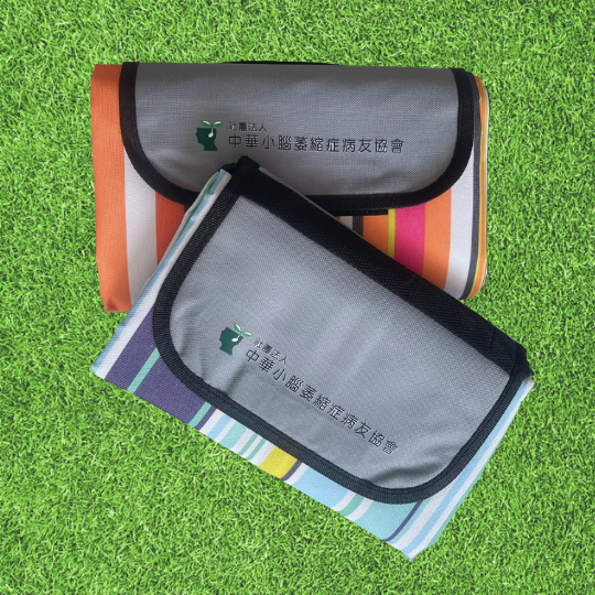 四人用防水野餐墊